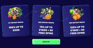 Spinanga Online Casino anmeldelse